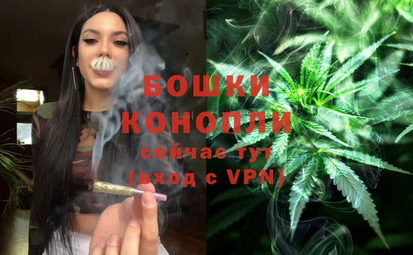 бошки Алзамай