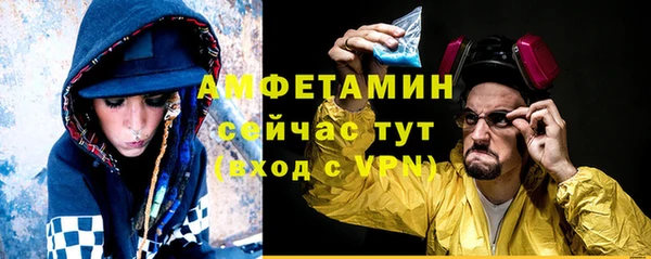 СК Алексин