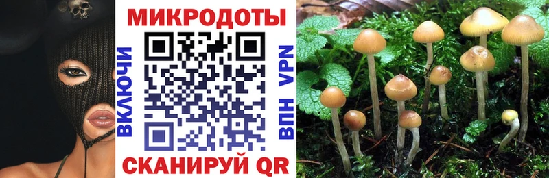 Псилоцибиновые грибы Cubensis  Приозерск 